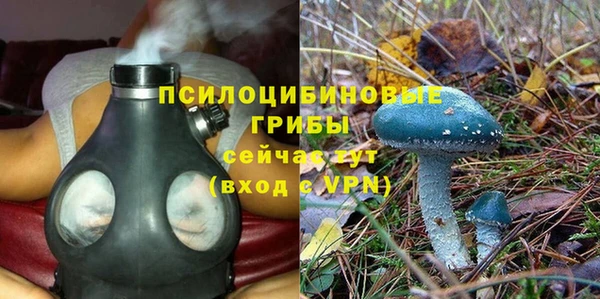 прущие крисы Аркадак