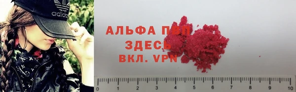 эйфоретик Балахна