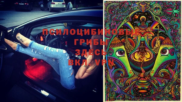 бутират Арсеньев